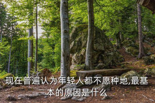 为什么没人做农业行业,在中国做农业为什么不赚钱