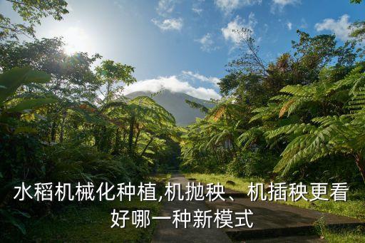 农业翻抛机怎么选
