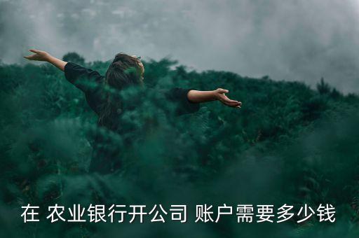 农业对公账户怎么收费,农业电子账户怎么用