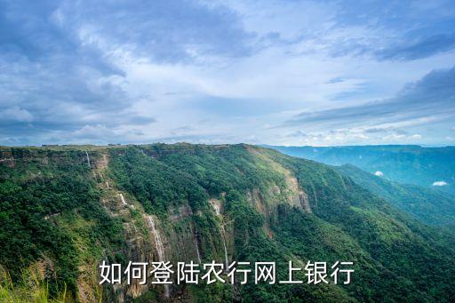 电脑版农业银行怎么登录,农业银行怎么登录不了