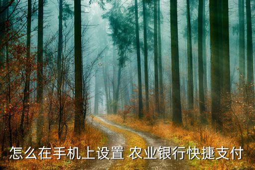 怎么在农业银行app交费,广西农业银行APP