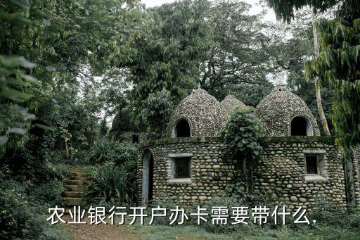农业银行借记卡怎么开卡