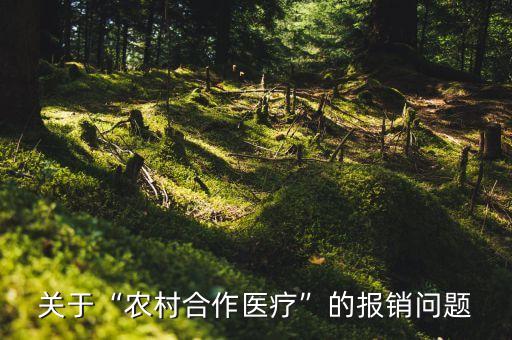农业公司怎么报账,公司每个月怎么报账