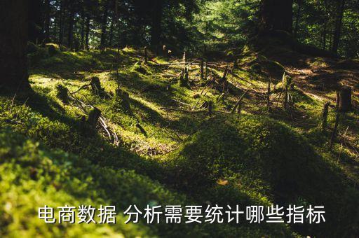  电商数据 分析需要统计哪些指标