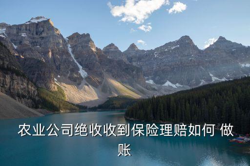 农业购买保险怎么做账,农业公司怎么做账