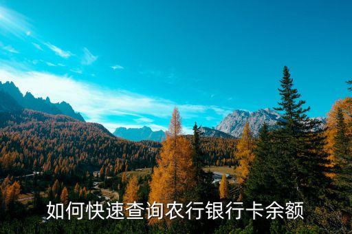 农业银行钱怎么查,怎么查农业银行卡里的钱
