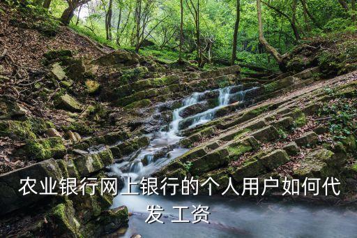  农业银行网上银行的个人用户如何代发 工资