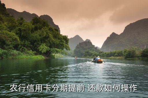 农行信用卡分期提前 还款如何操作