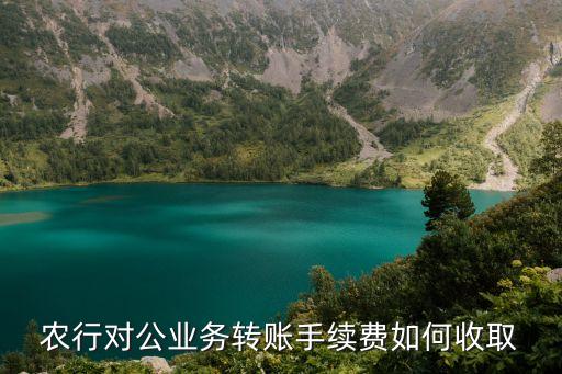 农行对公业务转账手续费如何收取