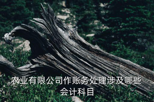 农业龙头企业怎么做会计