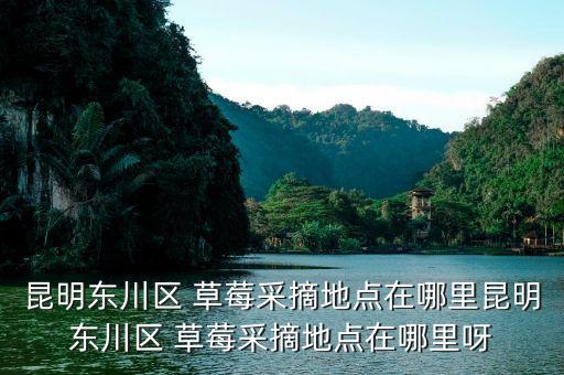 昆明东川区 草莓采摘地点在哪里昆明东川区 草莓采摘地点在哪里呀