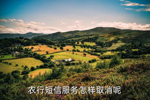 农业银行u盾怎么退订