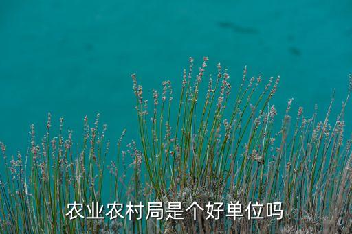区农业局上班怎么样,农业局周六周日上班吗
