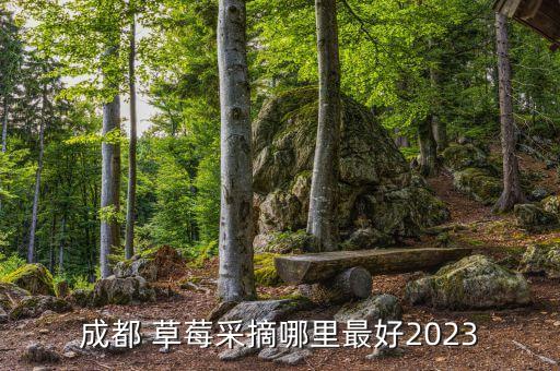 成都 草莓采摘哪里最好2023