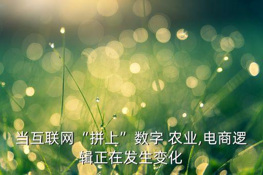 农业产品拼多多怎么做的,拼多多上产品怎么上