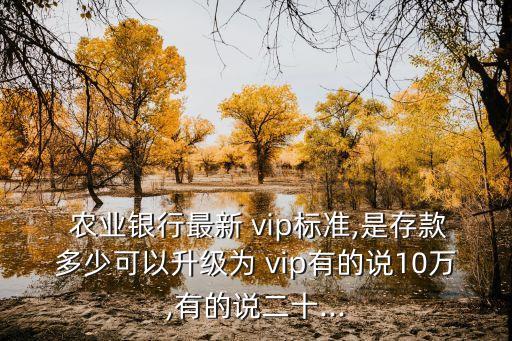 农业银行怎么转为vip