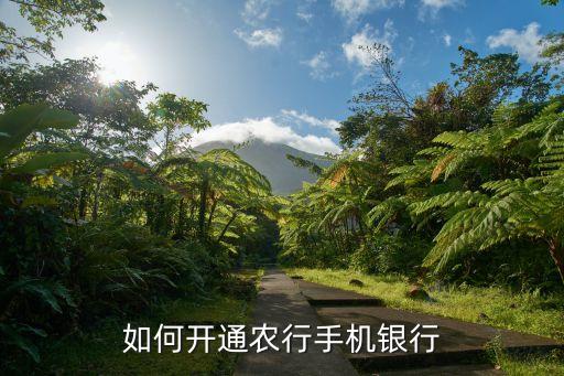 如何开通农行手机银行
