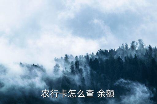 农业网银怎么查余额,大众版网银查余额