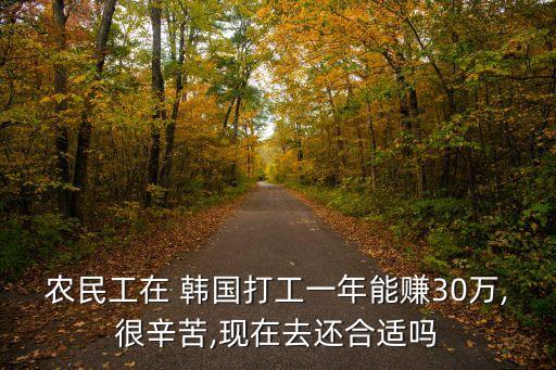 农民工在 韩国打工一年能赚30万,很辛苦,现在去还合适吗
