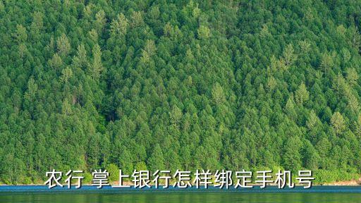 掌上农业怎么绑卡,农业掌上银行密码解绑