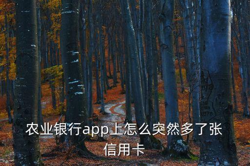 农业信用卡怎么查虚拟卡