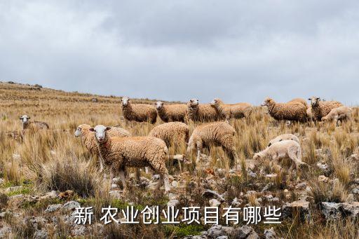 新型农业加工产品是什么,非新型农业经营主体是什么