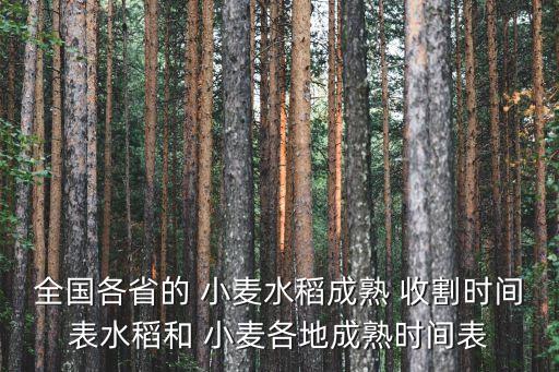 农业专家小麦什么时候收割,小麦什么时候收割产量最高