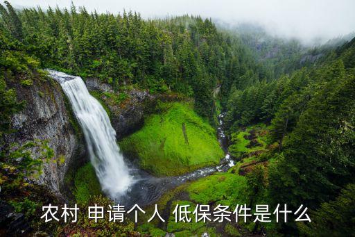 农业户申请低保怎么申请,非农业申请低保的条件