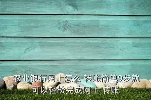 重庆农业银行怎么转账,农业银行一天转账才3000