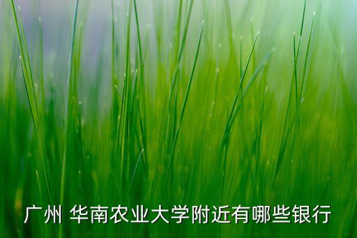 怎么去华南农业银行,大连华南广场附近有农业银行吗