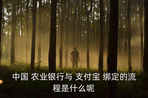 农业银行支付宝怎么绑定