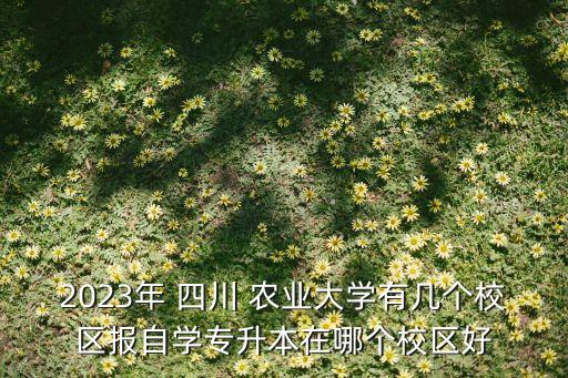2023年 四川 农业大学有几个校区报自学专升本在哪个校区好