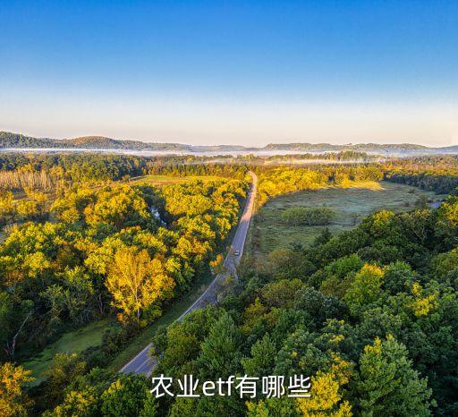 农业什么基金好,农业基金行情分析