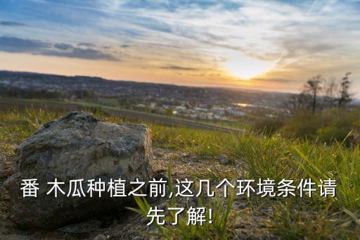 怎么样判断木瓜有没农业,木瓜怎么样判断能不能摘下来