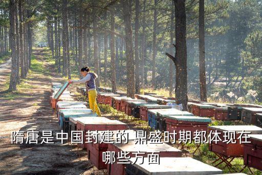 鼎盛农业主播怎么样