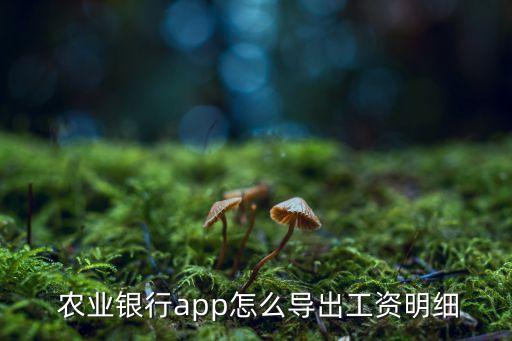 企业农业银行怎么导银行单,农业银行企业掌上银行app下载