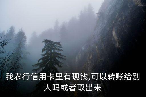 农业银行怎么跨行转出英镑