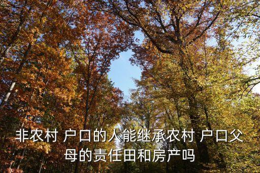 非农业户口集体财产怎么分