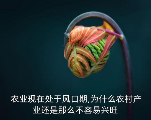 农业为什么很难规模化经济,为什么要实行农业规模化经营