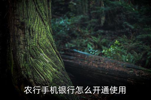 农业银行开箱业务怎么开
