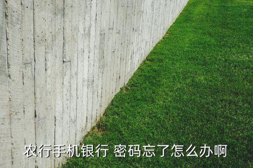 怎么样查看农业银行密码,农业银行怎么样修改支付密码