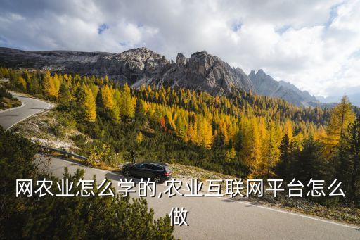 互联网农业怎么学的,农业互联网平台怎么做