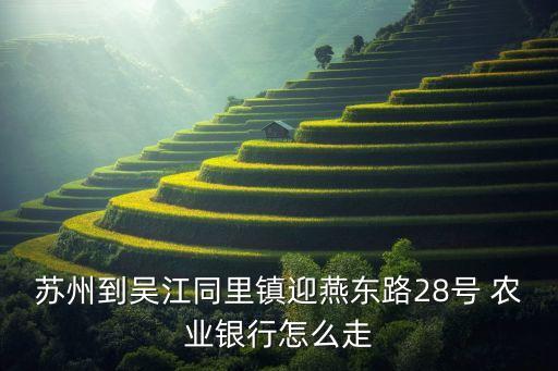 到纪王农业银行怎么乘车,纪王农业银行营业时间