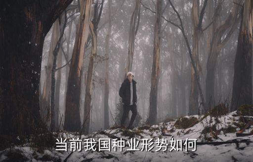 现在农业种子怎么样了图片,草莓的种子是怎么样的图片