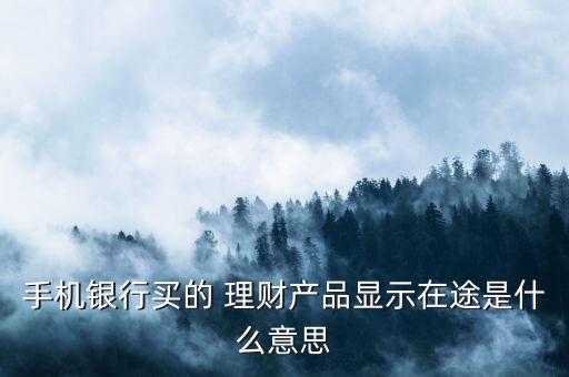 农业理财怎么看在途,江苏银行理财收益怎么看