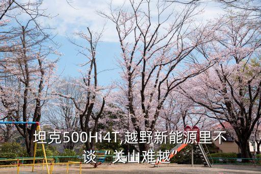 新陆春天农业发展怎么样,周口市新陆春天农业发展有限公司
