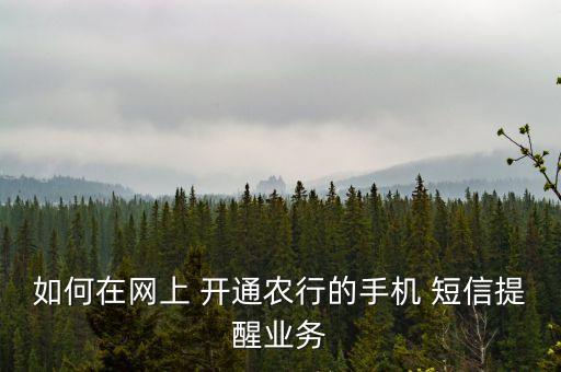农业银行交易短信怎么开通