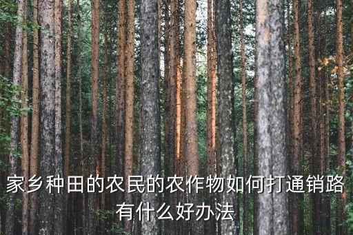 家乡种田的农民的农作物如何打通销路有什么好办法