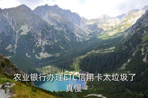  农业银行办理ETC信用卡太垃圾了真慢