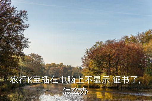 农业银行k宝怎么查看证书,电脑农业银行k宝证书更新